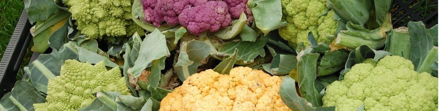 Blumenkohl-bunter-mix6sPzvREzeeEwR